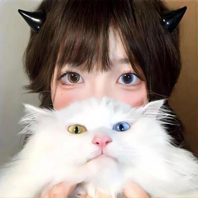 最佳女婿
